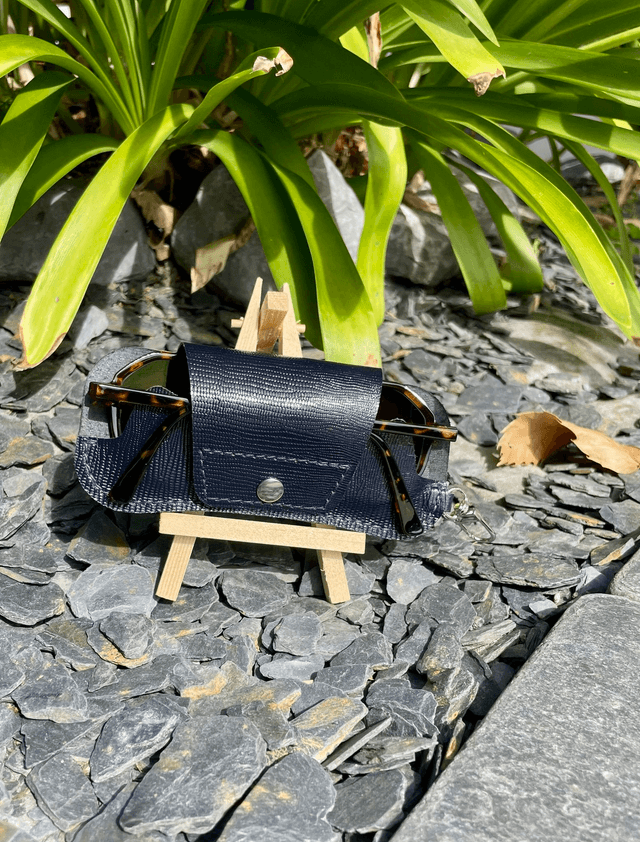 Etui à lunettes